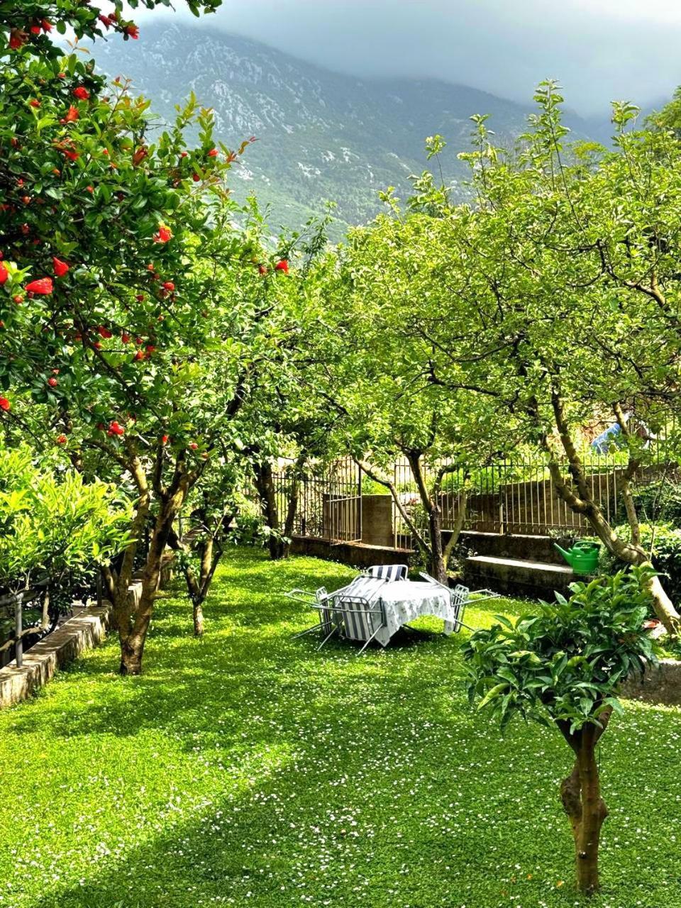 Apartments Andrija Kotor Exterior foto